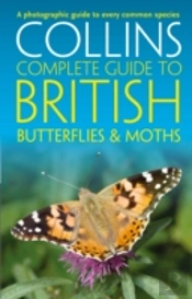 British Butterflies And Moths