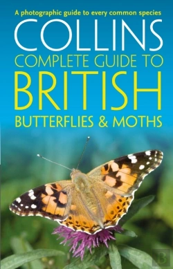 Bertrand.pt - British Butterflies And Moths