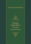 British Butterflies And Their Transformations