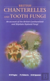British Chanterelles And Tooth Fungi