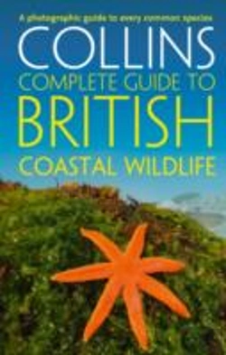 Bertrand.pt - British Coastal Wildlife