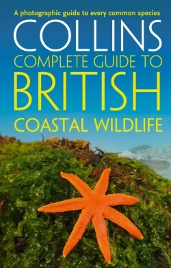 Bertrand.pt - British Coastal Wildlife