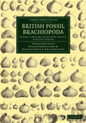 British Fossil Brachiopoda