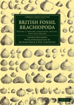 Bertrand.pt - British Fossil Brachiopoda