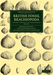 British Fossil Brachiopoda
