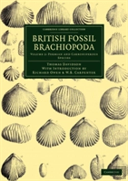 Bertrand.pt - British Fossil Brachiopoda