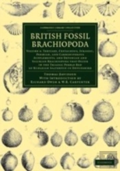 British Fossil Brachiopoda