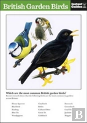 British Garden Birds