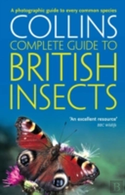 Bertrand.pt - British Insects