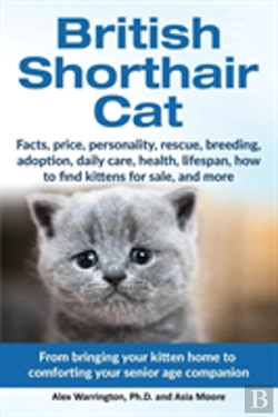 Bertrand.pt - British Shorthair Cat