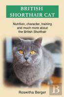 British Shorthair Cat