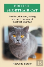 British Shorthair Cat