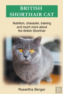 Bertrand.pt - British Shorthair Cat