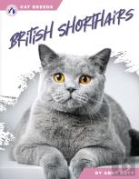 British Shorthairs