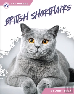Bertrand.pt - British Shorthairs