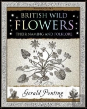 British Wild Flowers