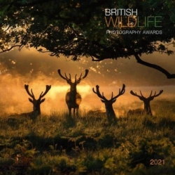 Bertrand.pt - British Wildlife 2021 Calendar
