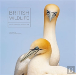 Bertrand.pt - British Wildlife Photography Awards 10