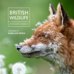 Bertrand.pt - British Wildlife Photography Awards 2023