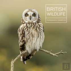 Bertrand.pt - British Wildlife Photography Awards 9