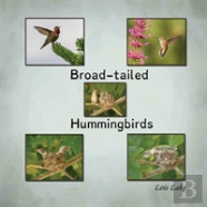 Broad-Tailed Hummingbirds