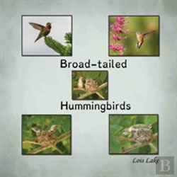 Bertrand.pt - Broad-Tailed Hummingbirds