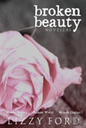 Broken Beauty Novellas