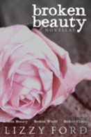 Broken Beauty Novellas