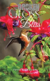Broken Gloss Of Bliss