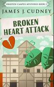 Broken Heart Attack