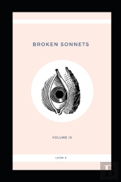 Broken Sonnets: Volume Ix: Poetry Collec