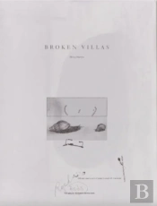 Broken Villas