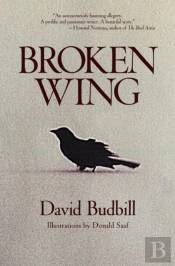 Broken Wing