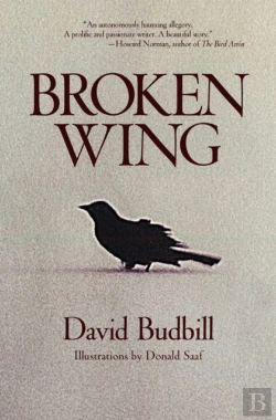 Bertrand.pt - Broken Wing