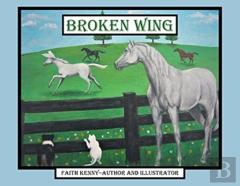 Broken Wing
