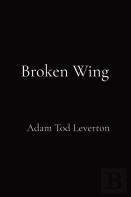 Broken Wing