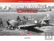 Broken Wings: Captured & Wrecked Aircraft Of The Blitzkrieg