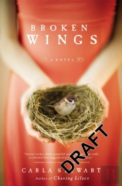Broken Wings