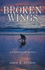 Broken Wings