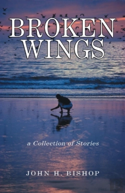 Bertrand.pt - Broken Wings