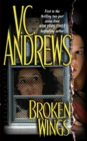 Broken Wings