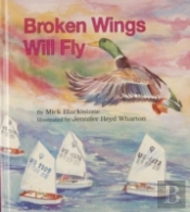 Broken Wings Will Fly