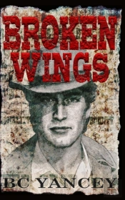 Broken Wings