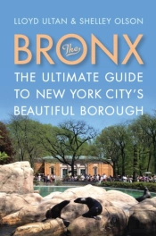 Bronx