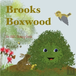 Bertrand.pt - Brooks Boxwood