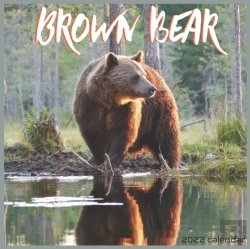 Bertrand.pt - Brown Bear 2022 Calendar