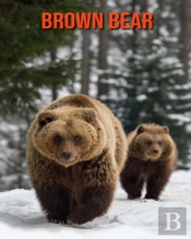 Brown Bear