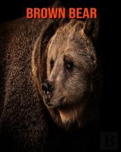 Brown Bear
