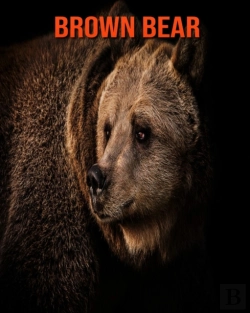 Bertrand.pt - Brown Bear
