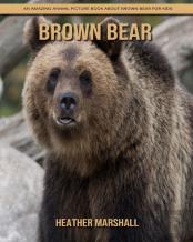 Brown Bear